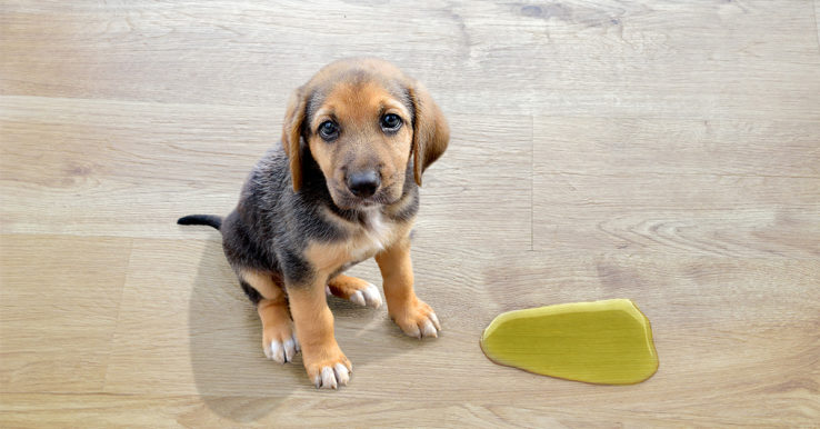 Simplicity in maintenance